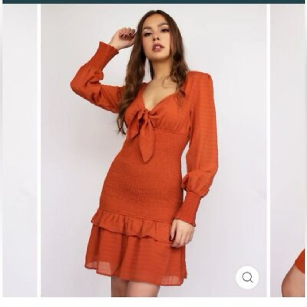 3/$15 NWOT Storia Terracotta smocked bodycon dress